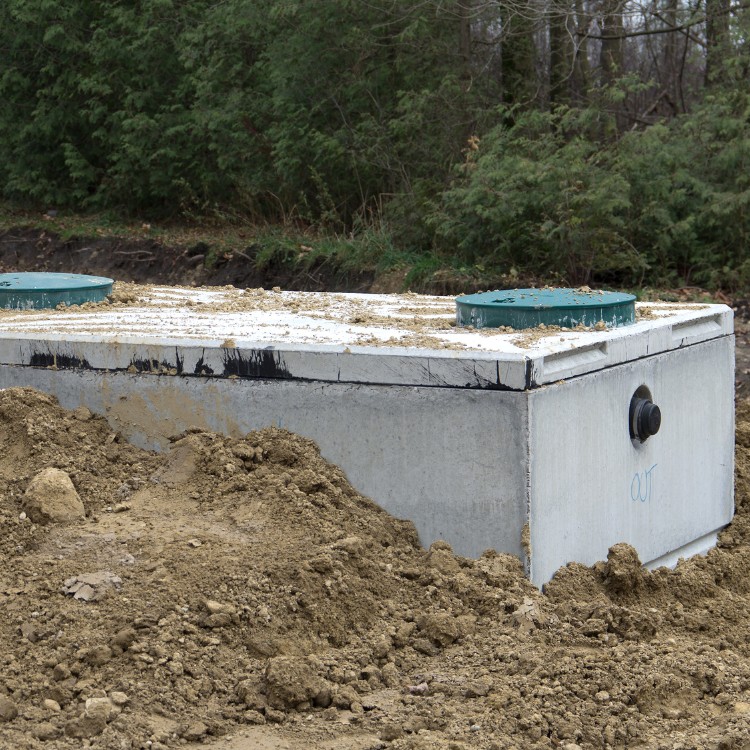 Just another WordPress site