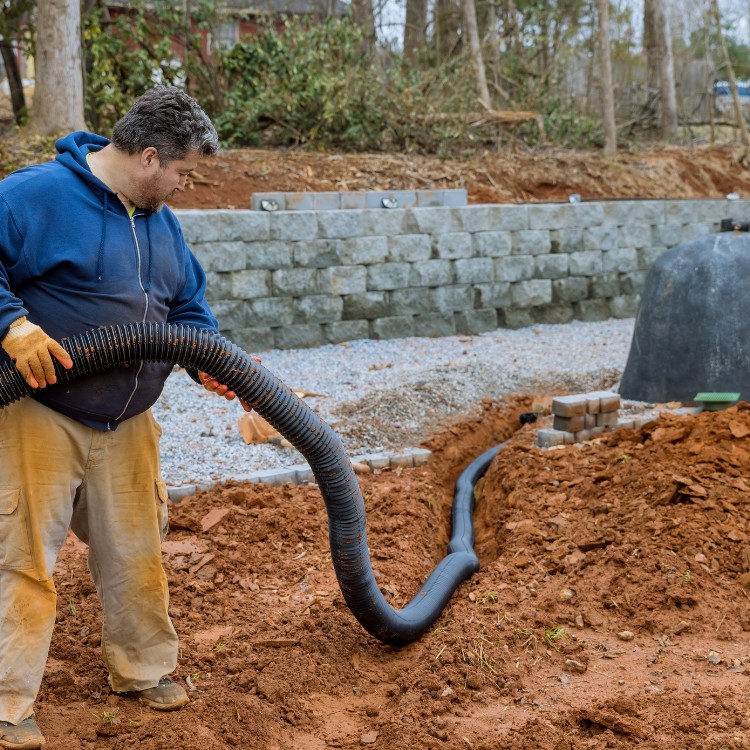 Just another WordPress site