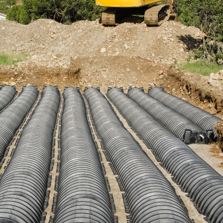 Just another WordPress site