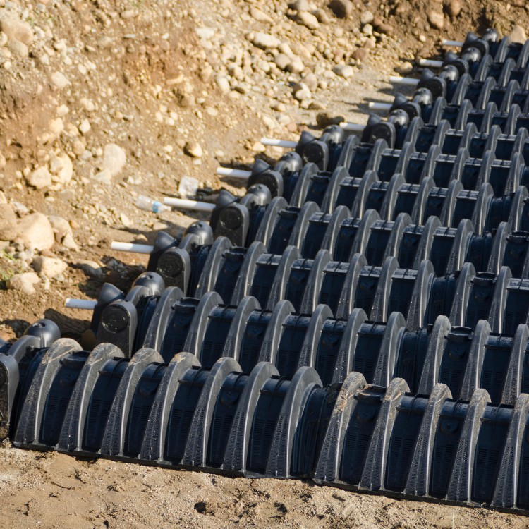 Just another WordPress site