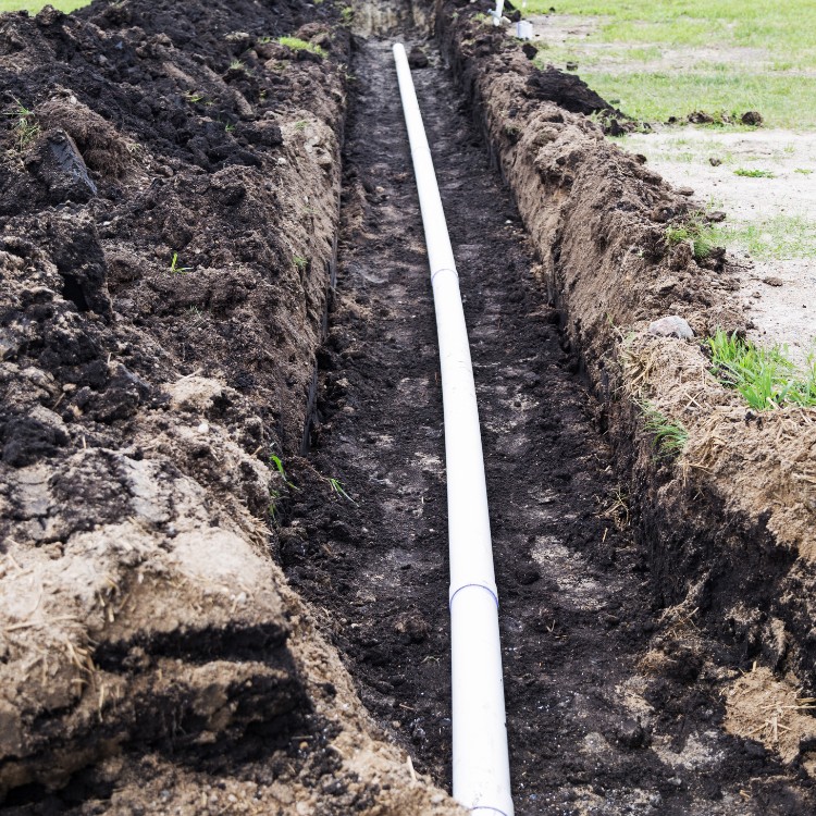 Just another WordPress site